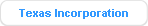 Texas Incorporation
