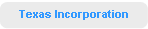 Texas Incorporation
