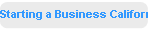 Starting a Business California