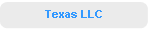 Texas LLC