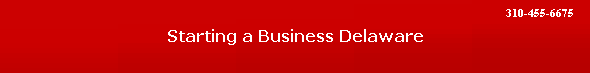 Starting a Business Delaware