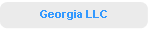 Georgia LLC
