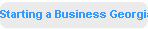 Starting a Business Georgia