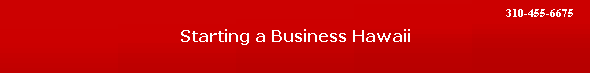 Starting a Business Hawaii