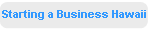 Starting a Business Hawaii