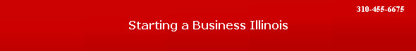 Starting a Business Illinois