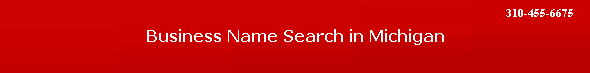 Business Name Search in Michigan