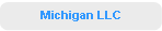 Michigan LLC