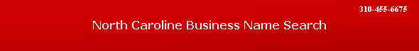 North Caroline Business Name Search