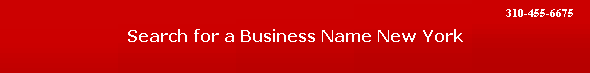 Search for a Business Name New York
