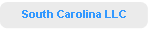 South Carolina LLC