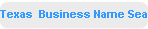 Texas  Business Name Search