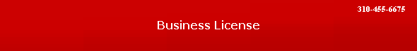Business License